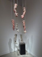 Primordial 15