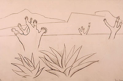 The Desert