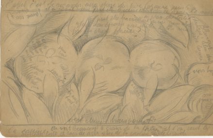 A pencil drawing of three apples and foliage with the artist's notations