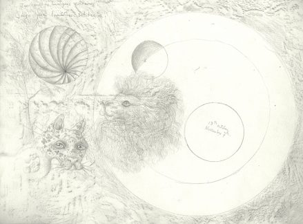 An intricate pencil drawing of a lion's head, a jaguar's head, and spherical forms with the artist's notations.